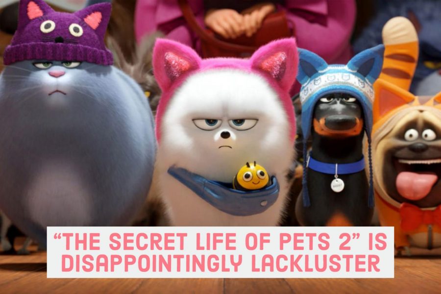 “The Secret Life of Pets 2” is disappointingly lackluster