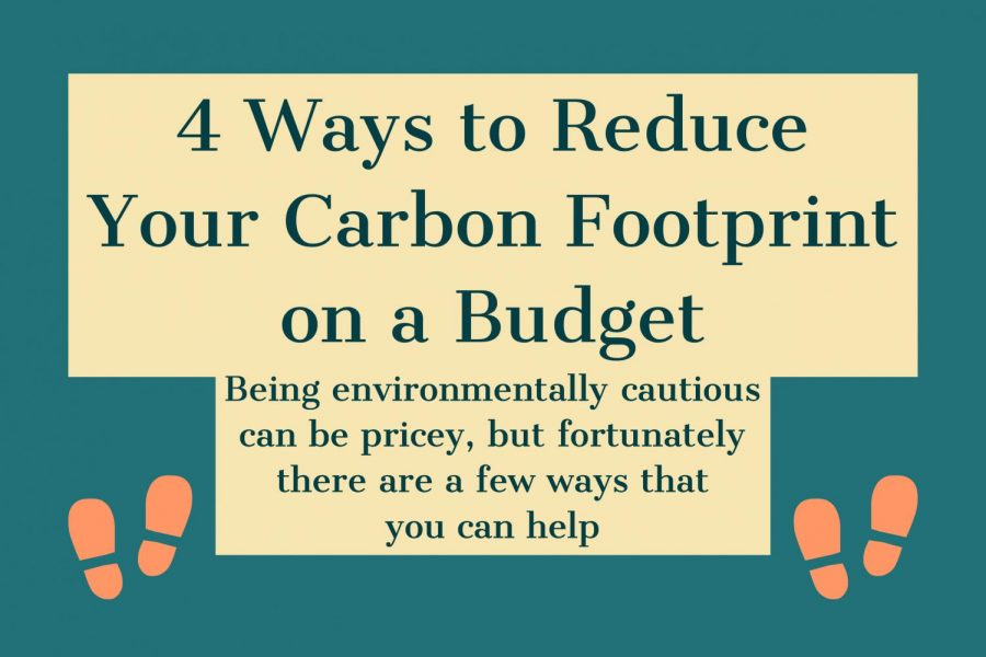 4 Ways to Reduce Your Carbon Footprint on a Budget