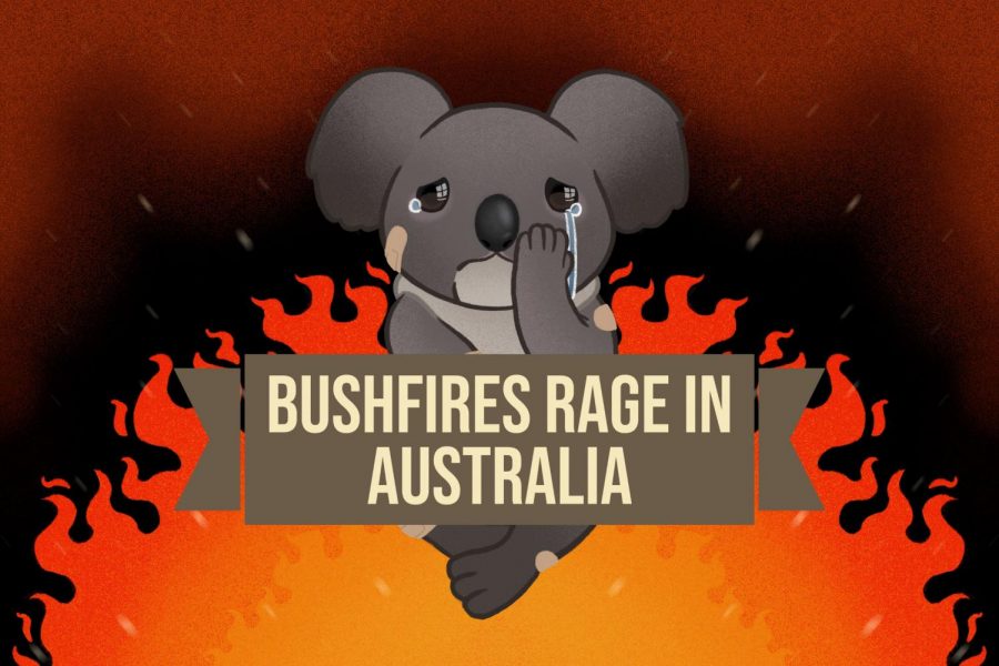 Bushfires Rage in Australia