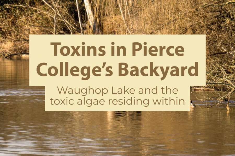 Toxins in Pierce College’s Backyard