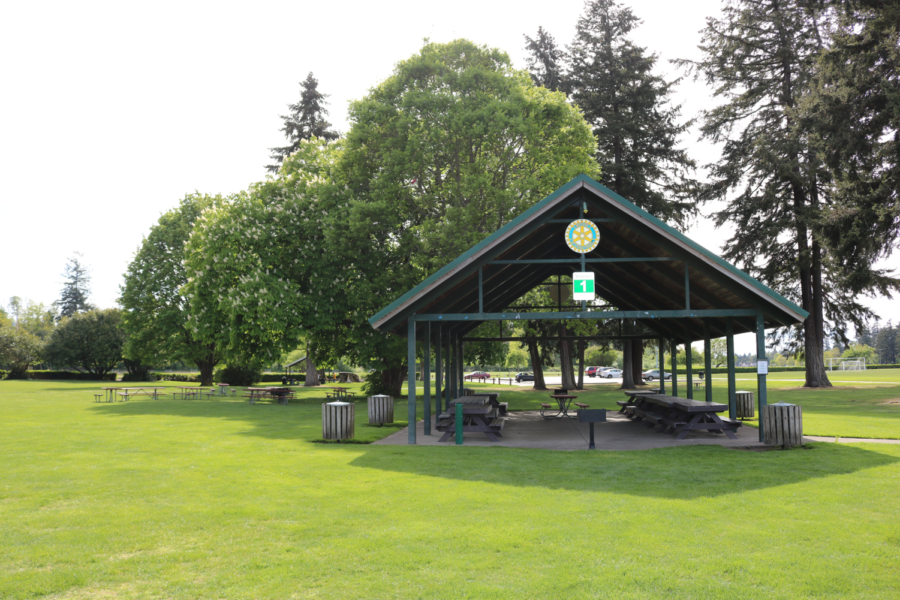 Overlooking an outdoor picnic area near the playground.