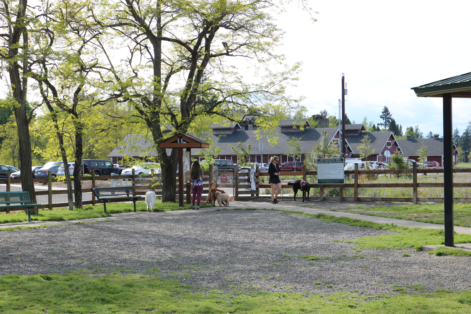 Fort Steilacoom Park: A Wildlife Habitat and Peaceful Sanctuary for Visitors