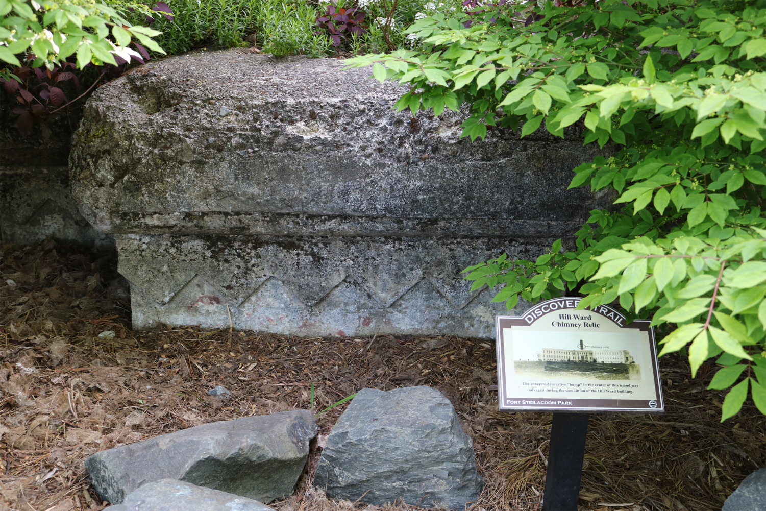 Fort Steilacoom Park: A Wildlife Habitat and Peaceful Sanctuary for Visitors