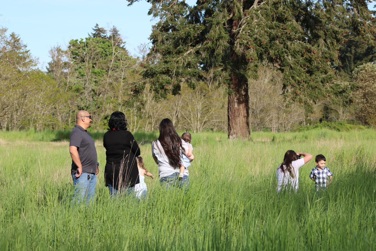 Fort Steilacoom Park: A Wildlife Habitat and Peaceful Sanctuary for Visitors