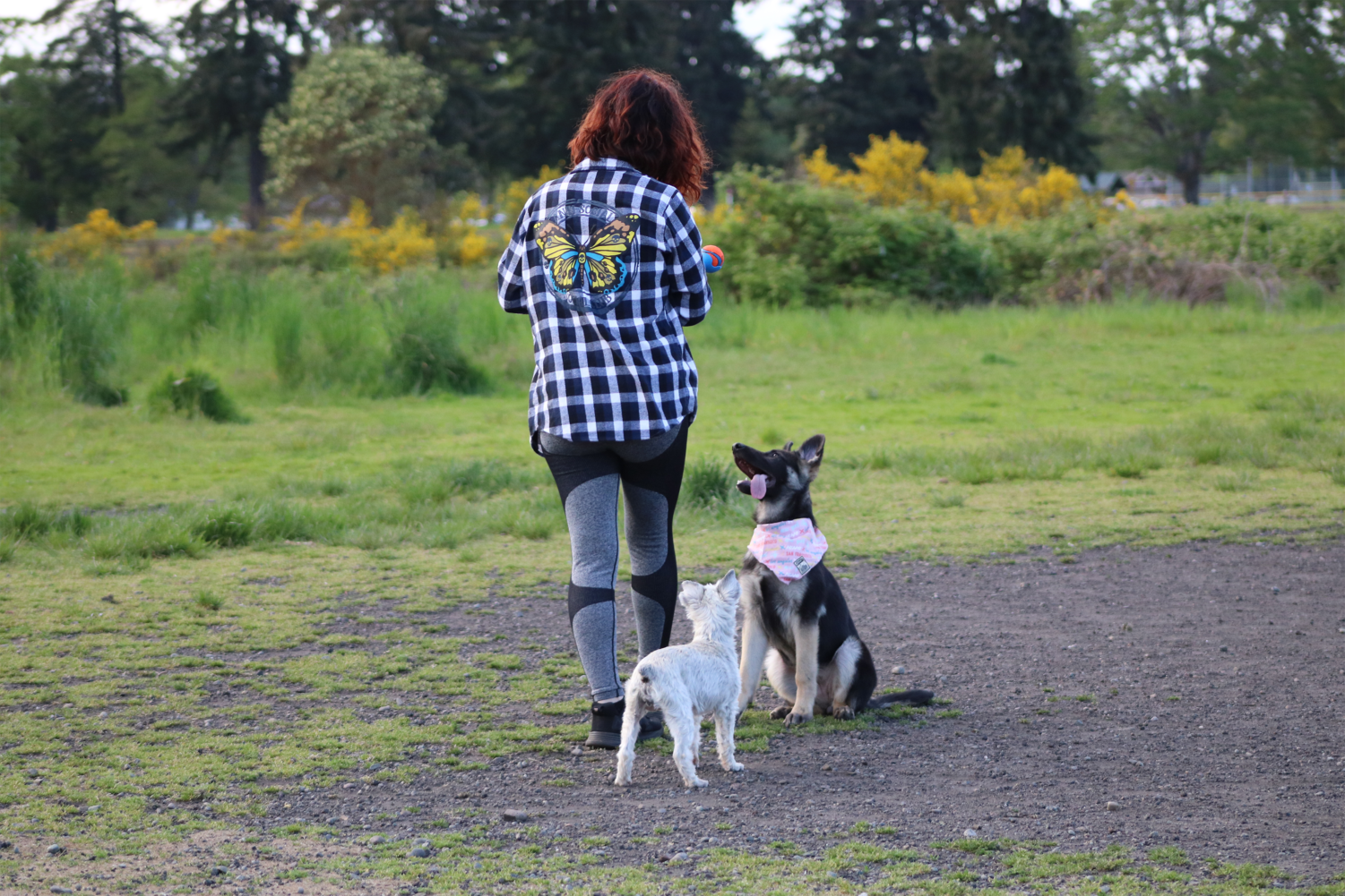 Fort Steilacoom Park