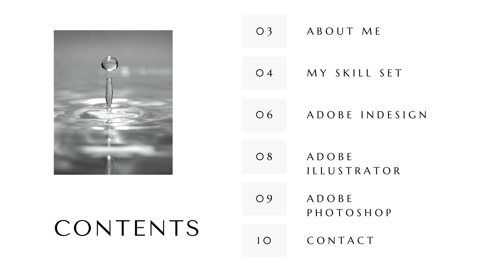 Le Pham Professional Portfolio