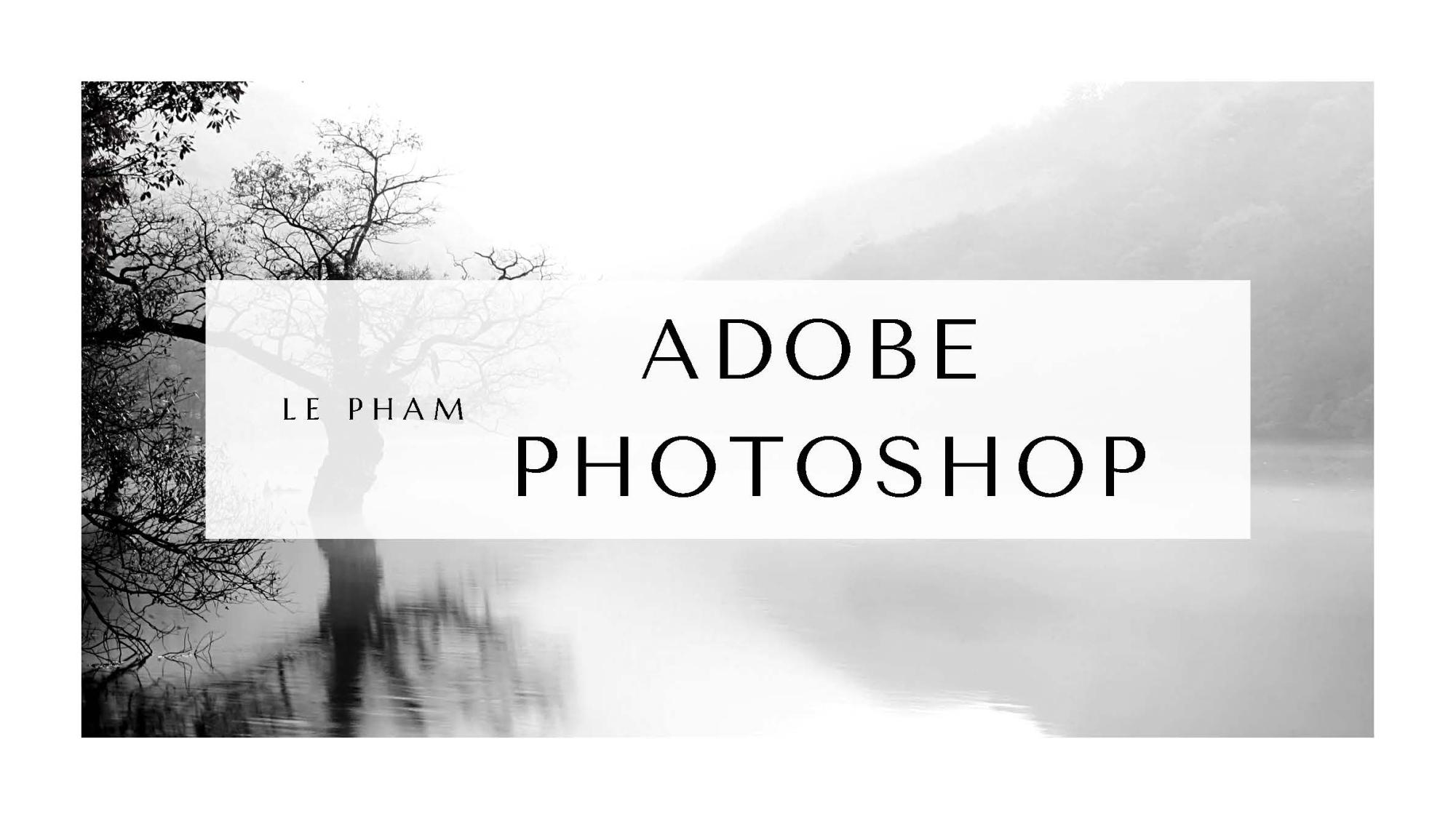 Le Pham Professional Portfolio