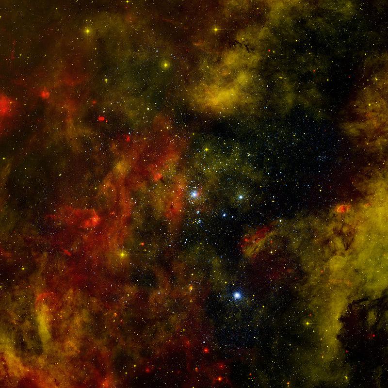 Picture of Cygnus