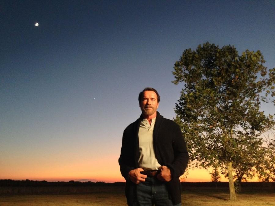 Schwarzenegger and Breslin star in the film "Maggie"