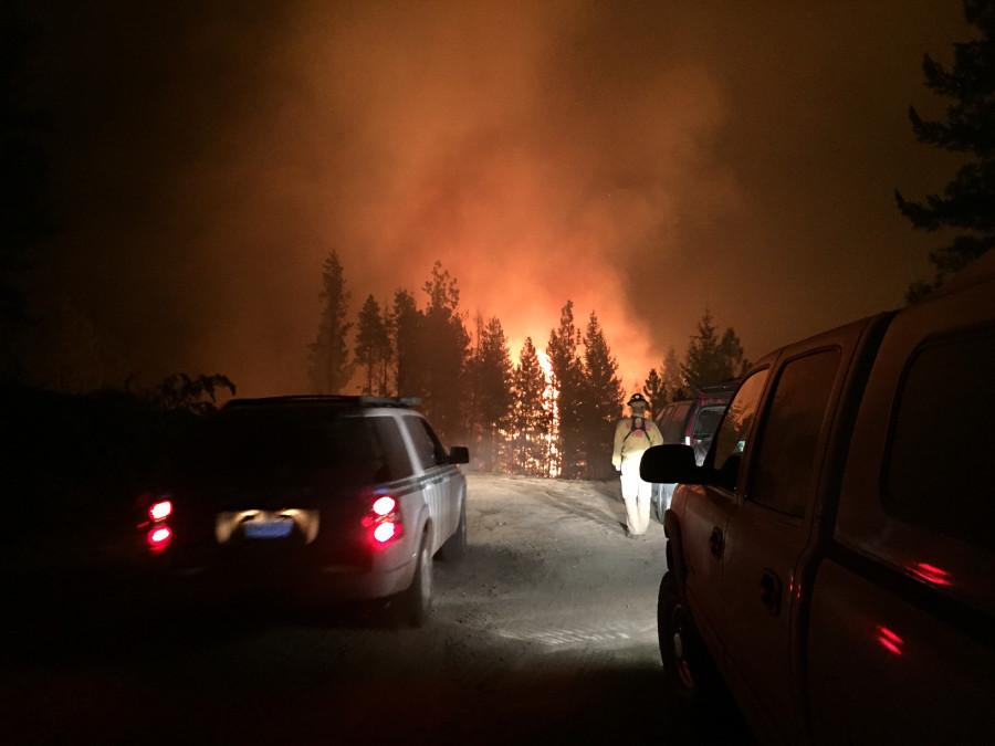 Washington turns from Evergreen to amber