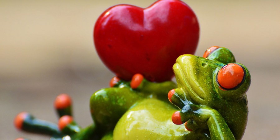 Valentine's Day Fever