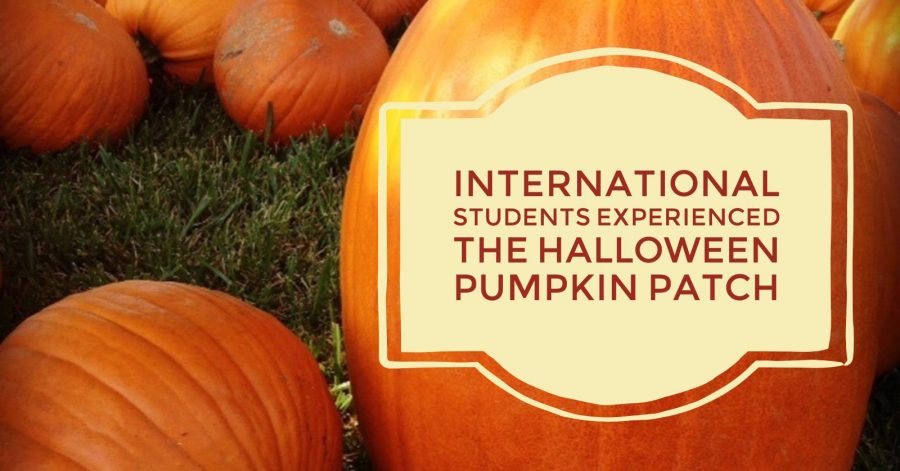 International Students experienced the Halloween pumpkin patch