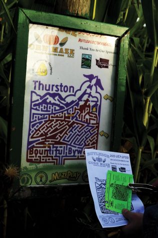 corn maze