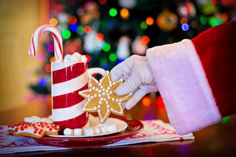 candy cane, cookie, Santa