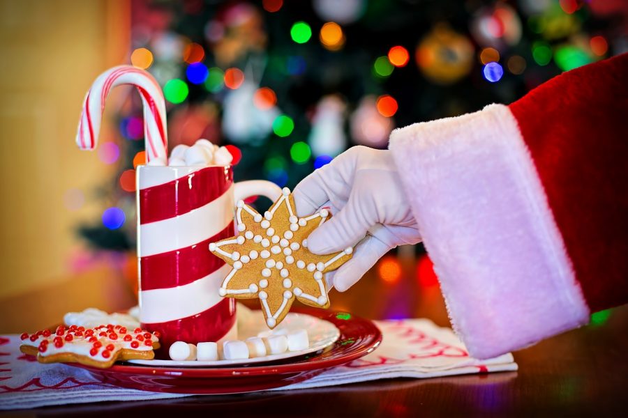 candy cane, cookie, Santa