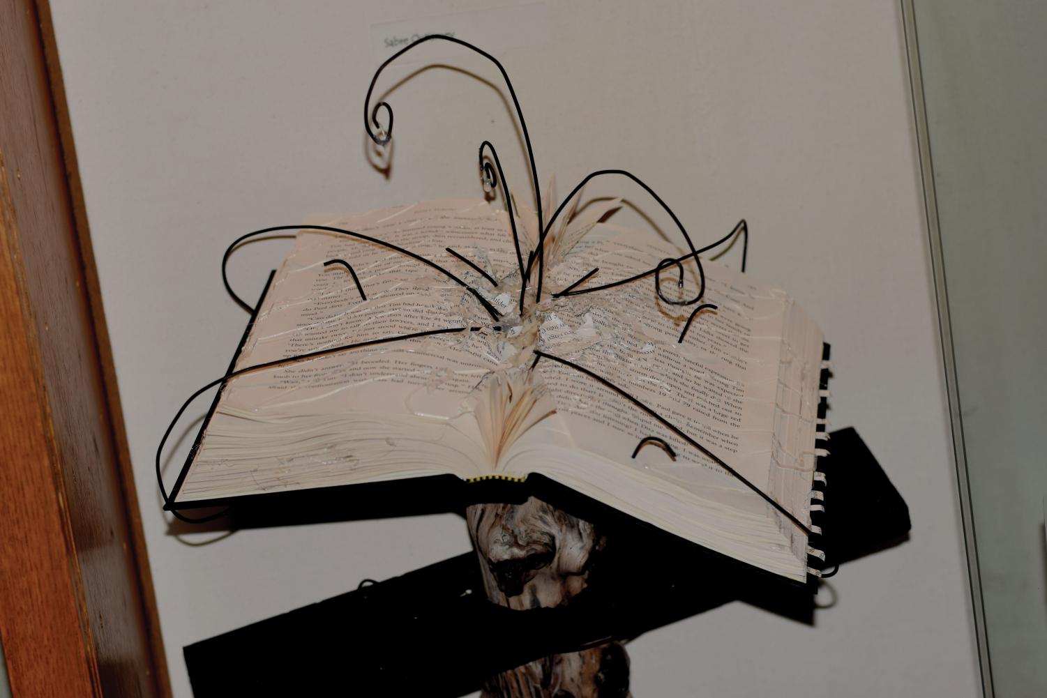 Student art display encourages altering books