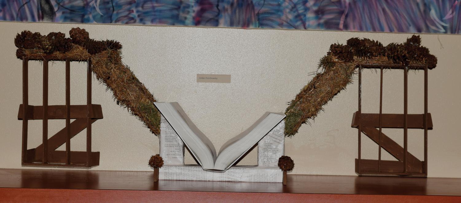 Student art display encourages altering books