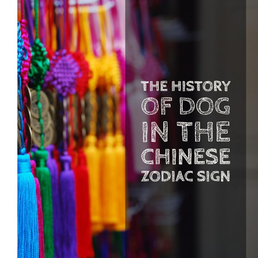 The History of Dog in the Chinese Zodiac Sign