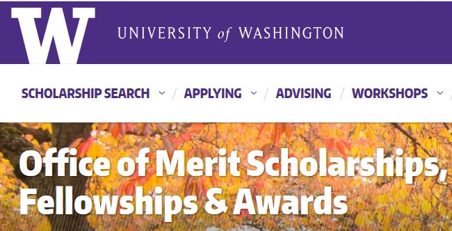 Martin Achievement Scholarships for future UW transfer students