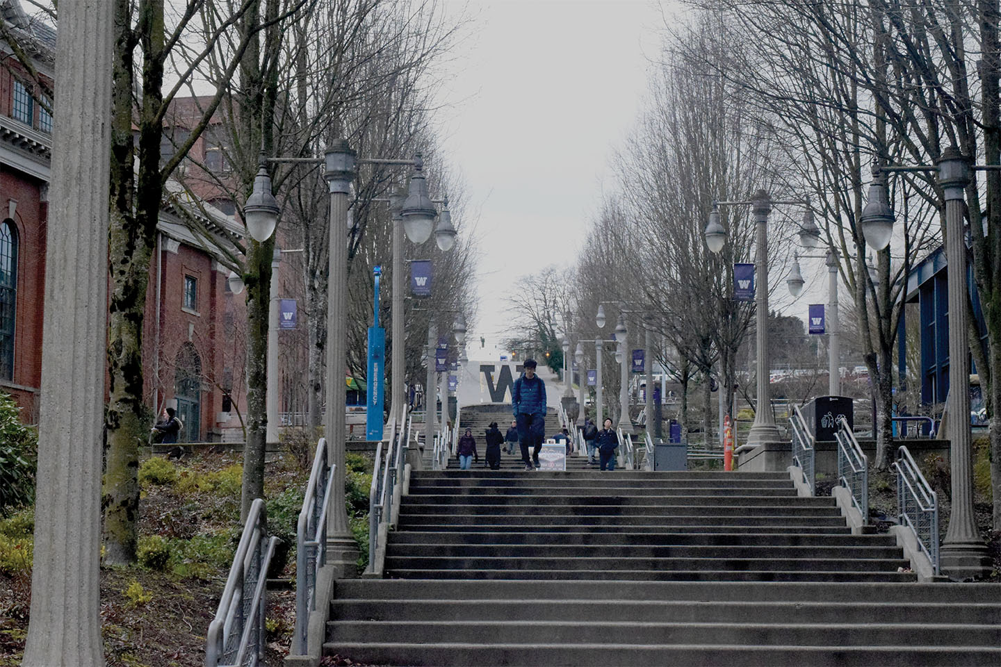 Looking to Transfer to UW Tacoma?