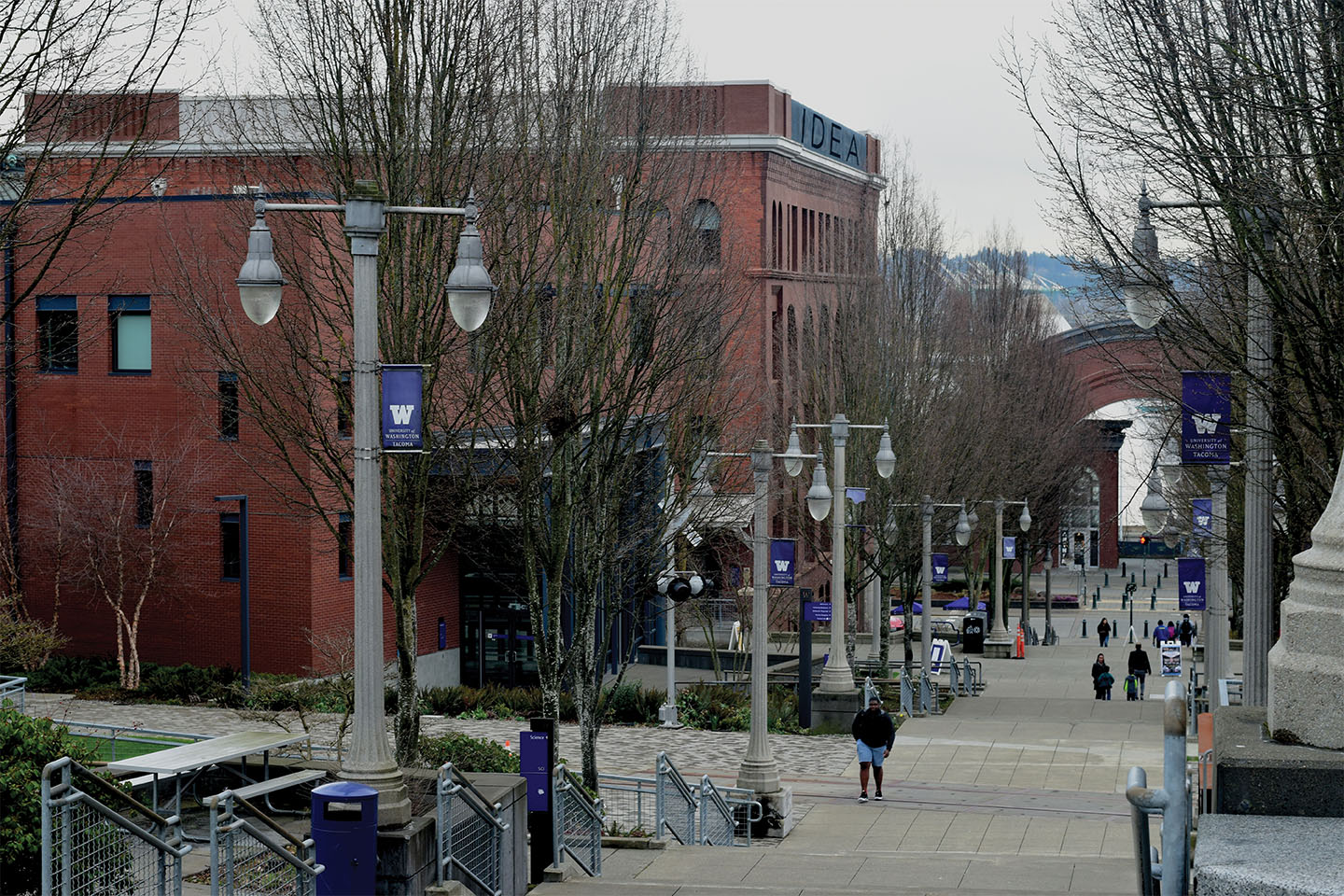 Looking to Transfer to UW Tacoma?