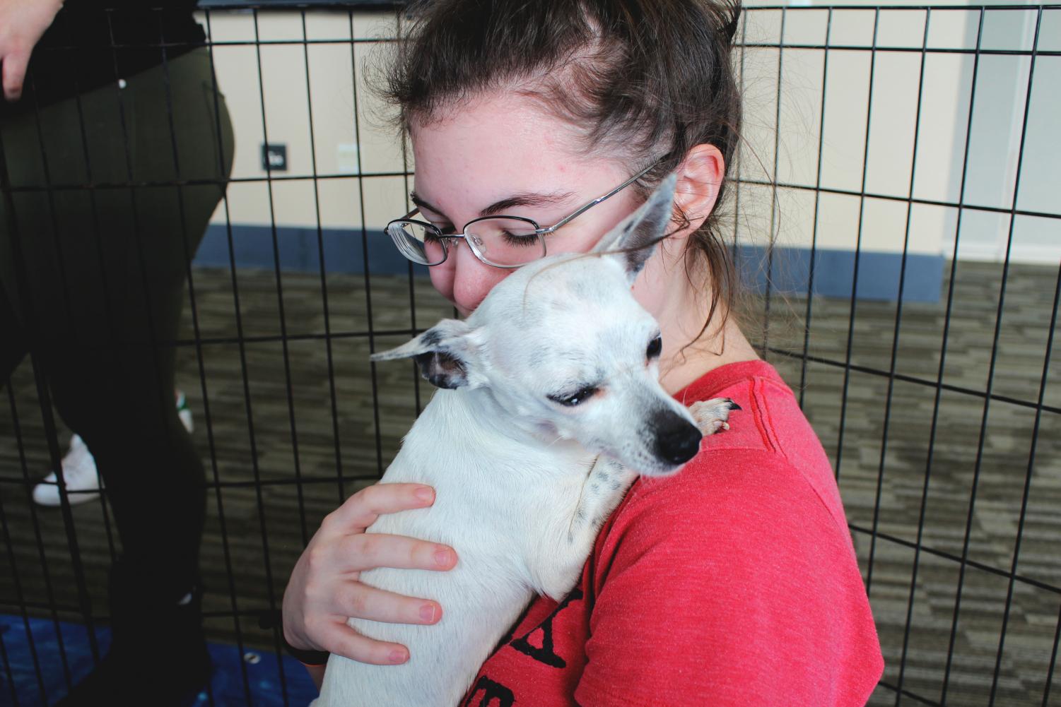 Puppy Cuddle Puddle – Stress Relief During Finals