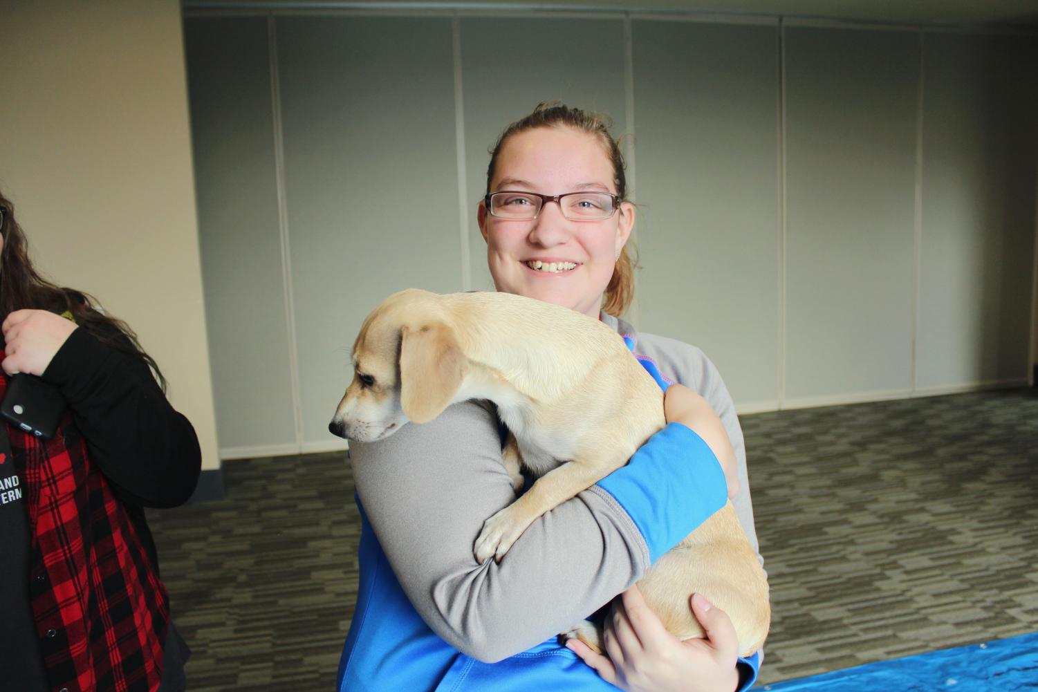Puppy Cuddle Puddle – Stress Relief During Finals