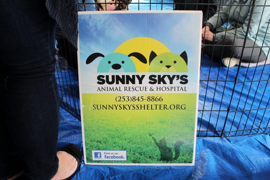 The Sunny Sky’s poster.