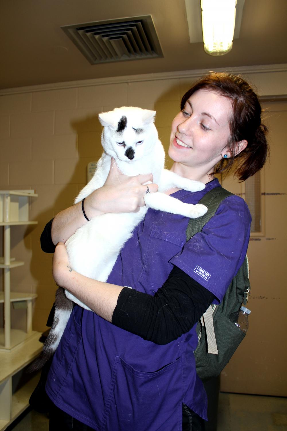 Pierce College vet tech program socializes furry companions for later adoptions