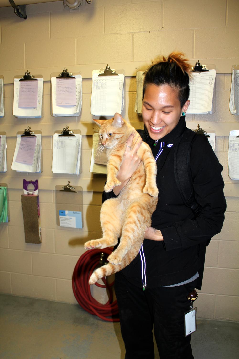 Pierce College vet tech program socializes furry companions for later adoptions