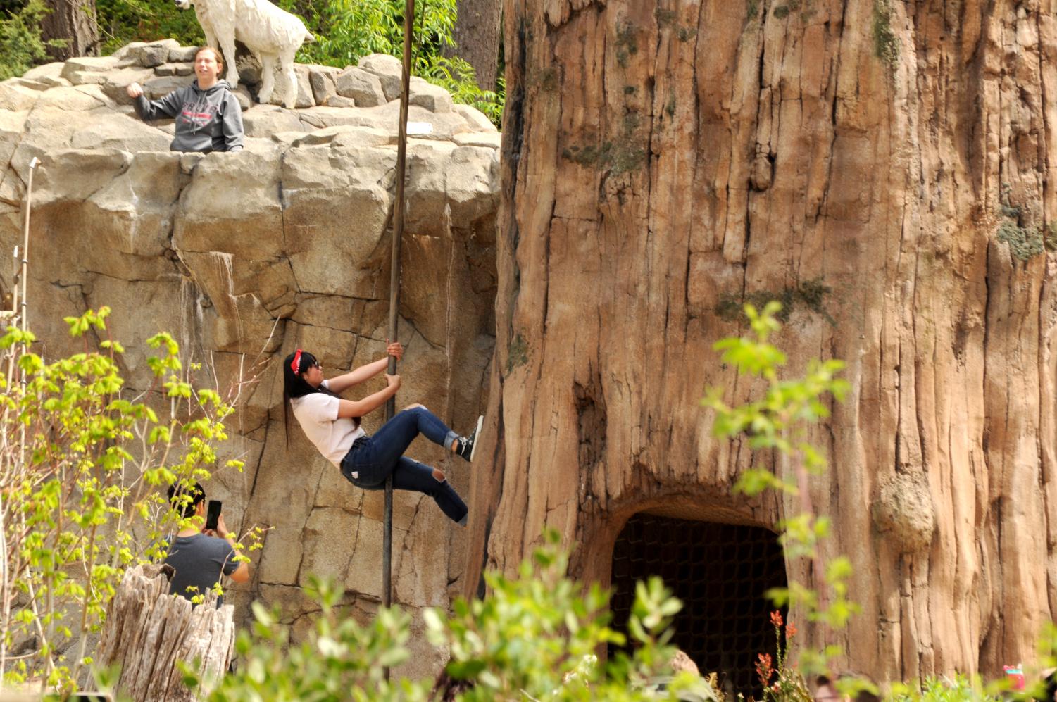 Northwest Trek Wildlife Park