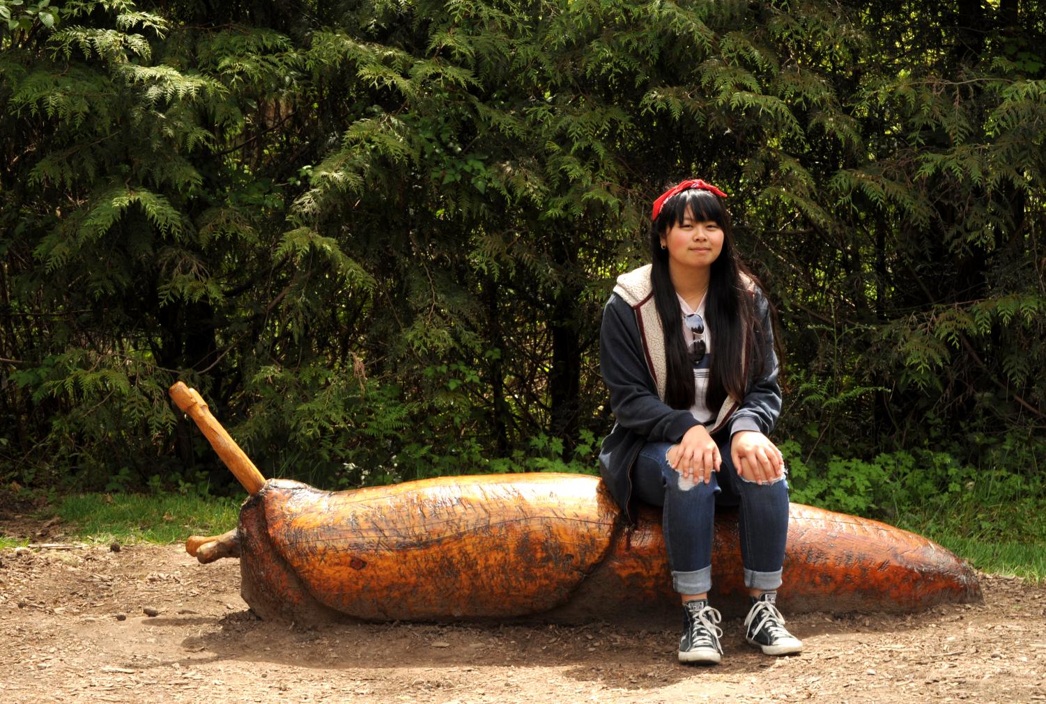 Northwest Trek Wildlife Park