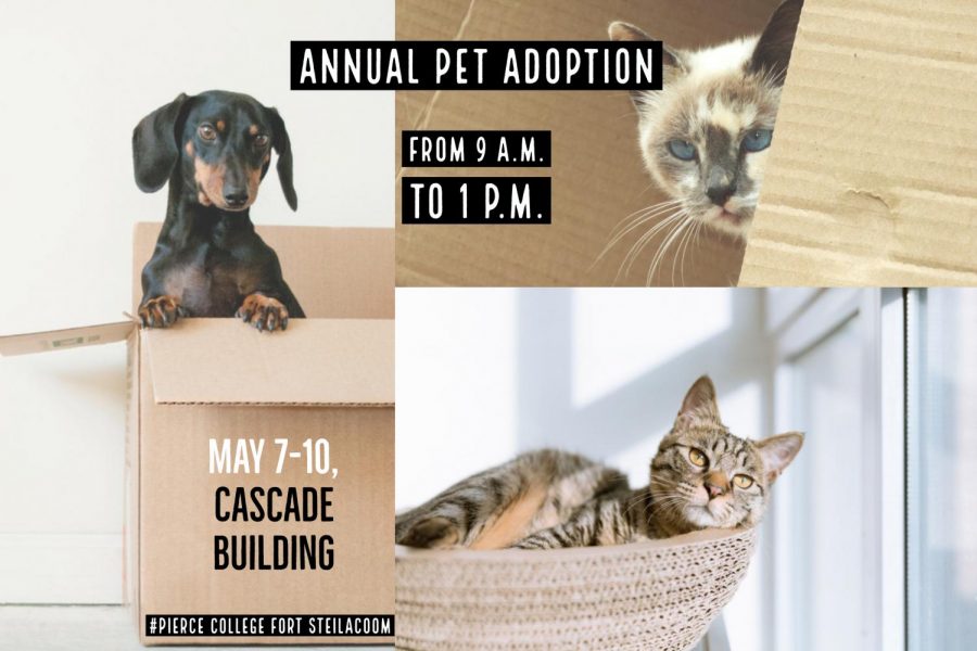Annual Pet Adoption