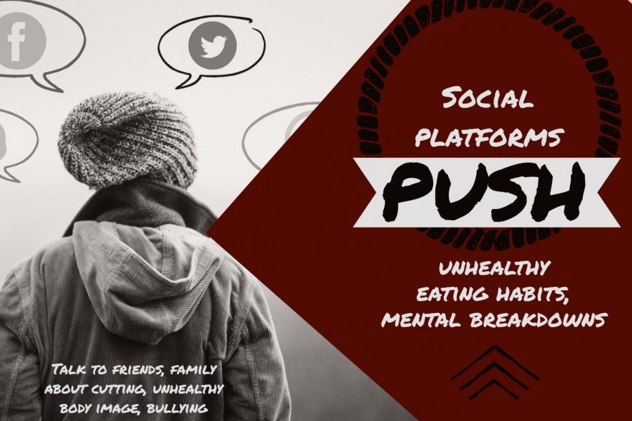 Social platforms push unhealthy eating habits, mental breakdowns