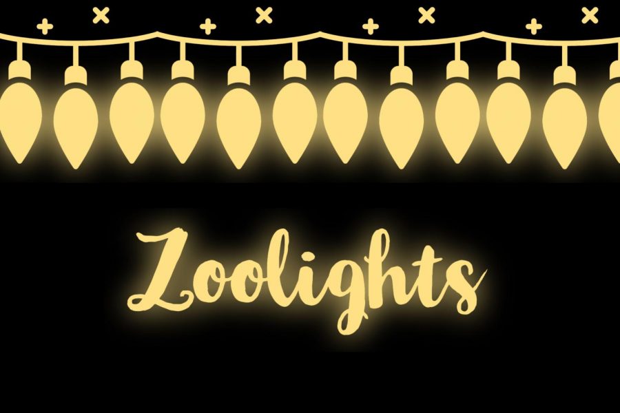 Zoolights