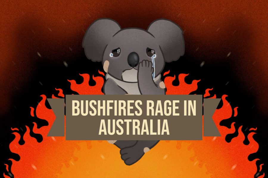 Bushfires Rage in Australia