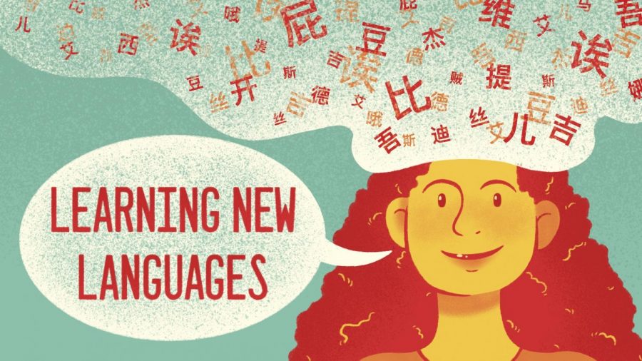 Experience of Learning Languages