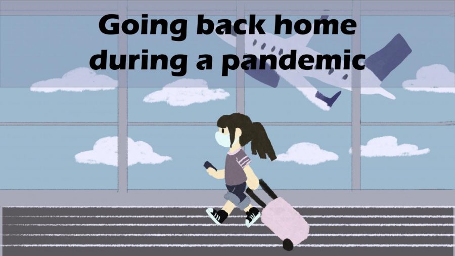 Going Back Home During a Pandemic