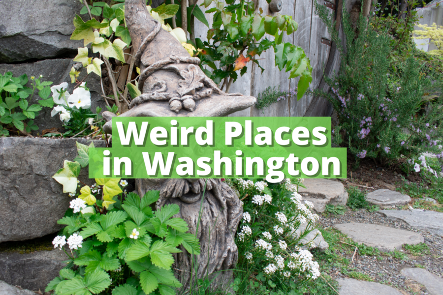 Weird Places in Washington