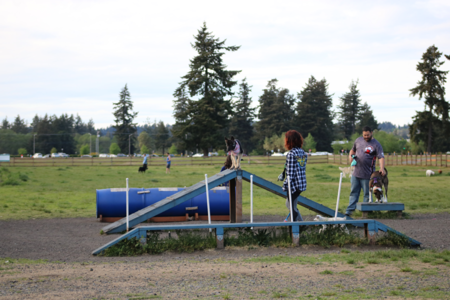 Dog owners practicing with their puppies on the small agility course.