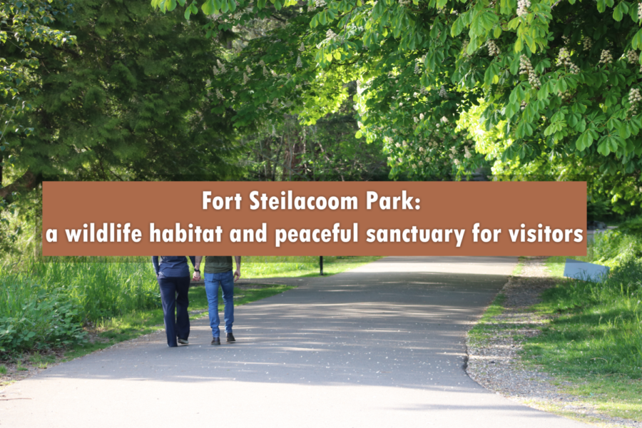 Fort Steilacoom Park: A Wildlife Habitat and Peaceful Sanctuary for Visitors