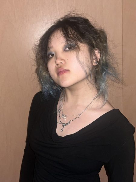 Xiaojing Zhan